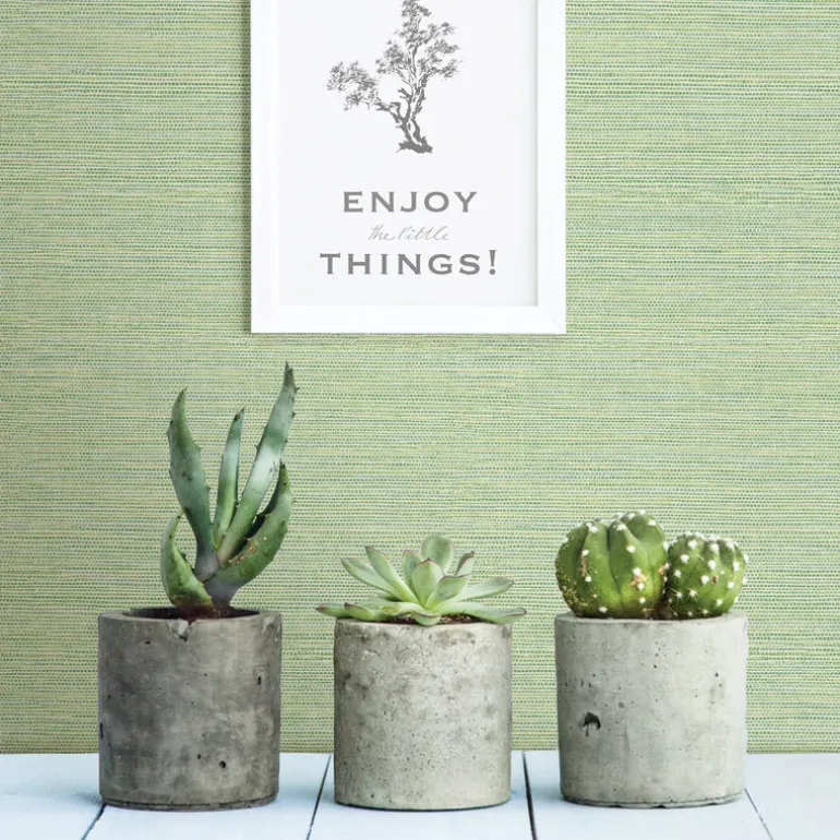 3117-24284 Agave Green Faux Grasscloth Wallpaper