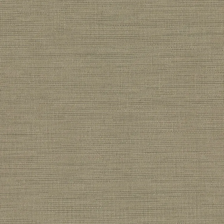 2807-6069 Cape Town Brown Faux Silk Wallpaper