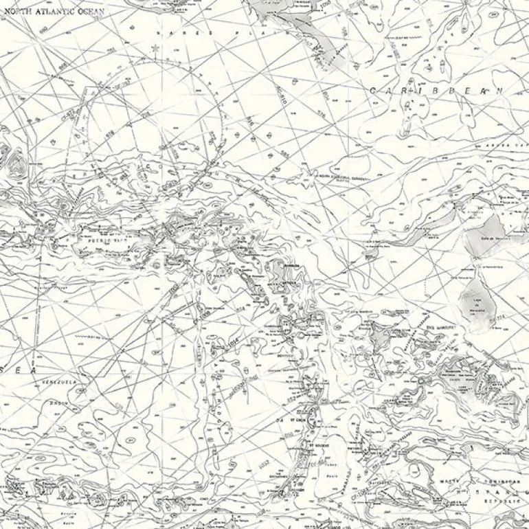 3120-16179 Charts Black Map Wallpaper