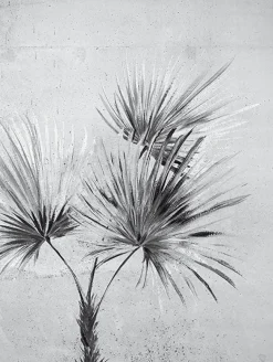 391567 Durango Palm Greyscale Wall Mural