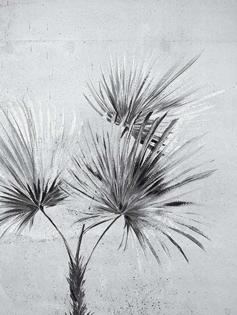 391567 Durango Palm Greyscale Wall Mural