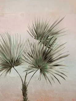 391564 Durango Palm Ombre Wall Mural
