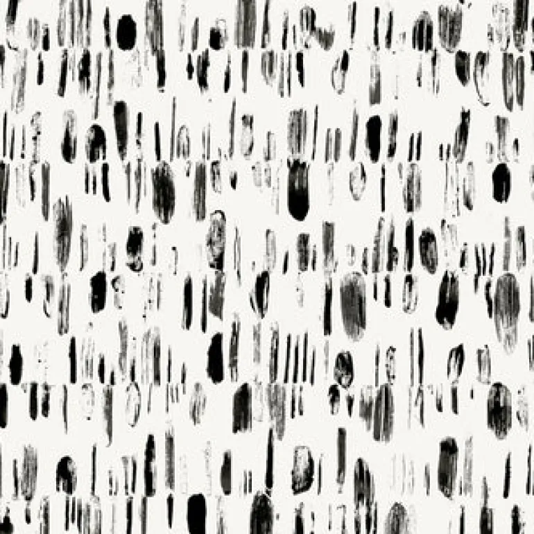 2973-90201 Dwell Black Brushstrokes Wallpaper
