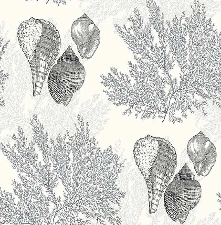 2927-81200 Nauset Black Seashell Shores Wallpaper