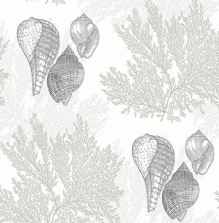 2927-81205 Nauset Cream Seashell Shores Wallpaper