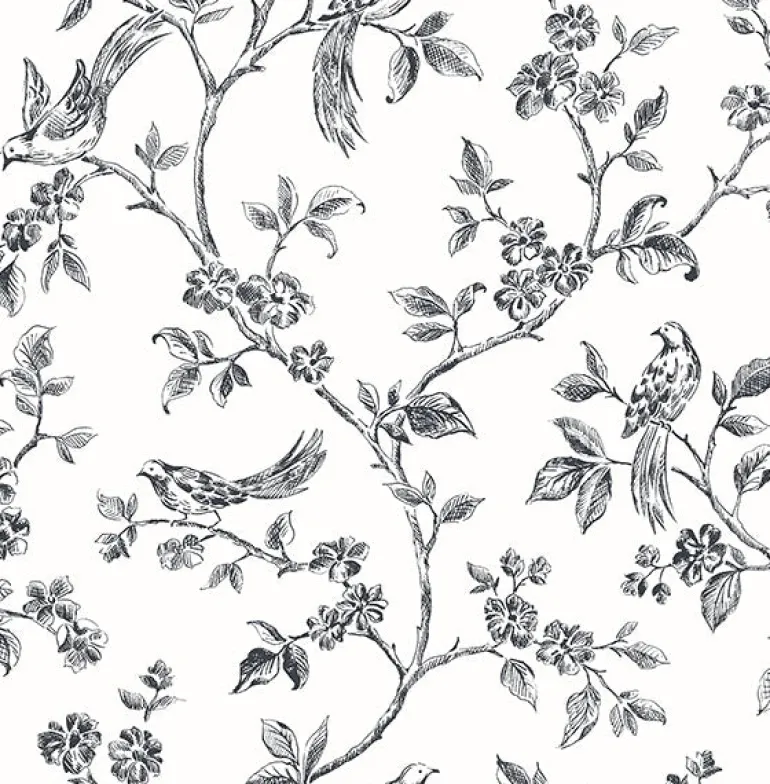 2836-24976 Ophelia Black Bird Trail Wallpaper