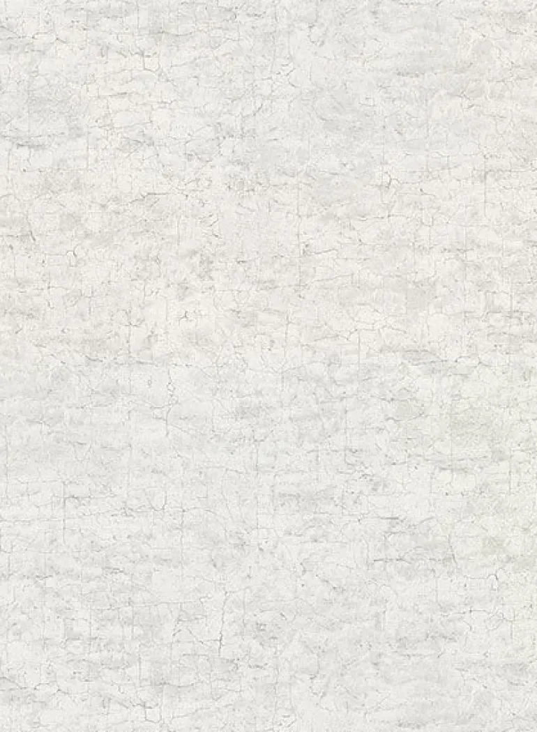 2921-51108 Pembroke Light Grey Faux Plaster Wallpaper