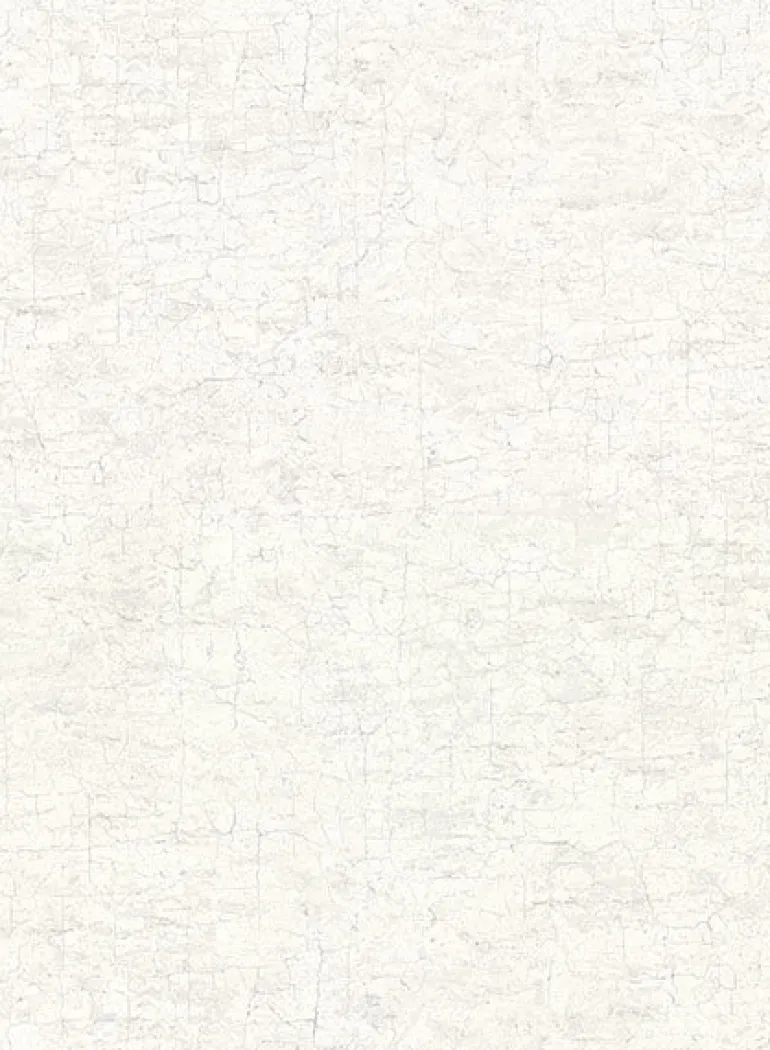 2921-51100 Pembroke White Faux Plaster Wallpaper