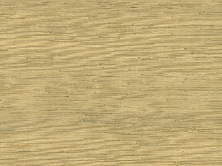 4018-0021 Shan Light Green Grasscloth Wallpaper