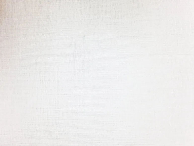 160 Sheers 64 Europatex Fabric