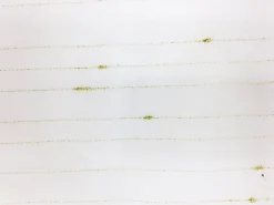 160 Sheers 83 Europatex Fabric
