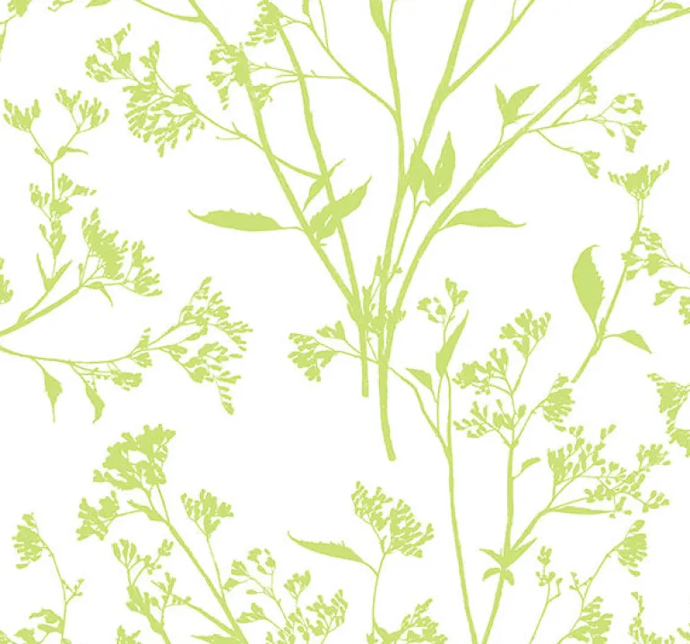 2927-80704 Southport Chartreuse Delicate Branches Wallpaper