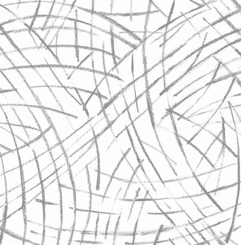 2902-25507 Willy Nilly Grey Brushstrokes Wallpaper