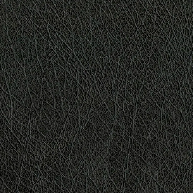 Abilene 9009 Black Fabric