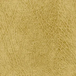 Abilene 606 Honey Fabric