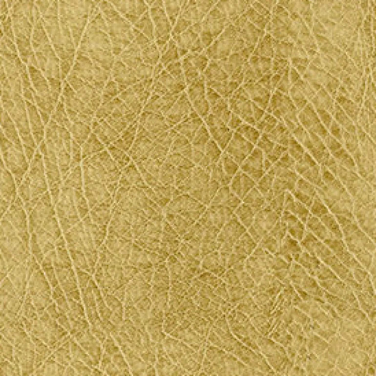 Abilene 606 Honey Fabric
