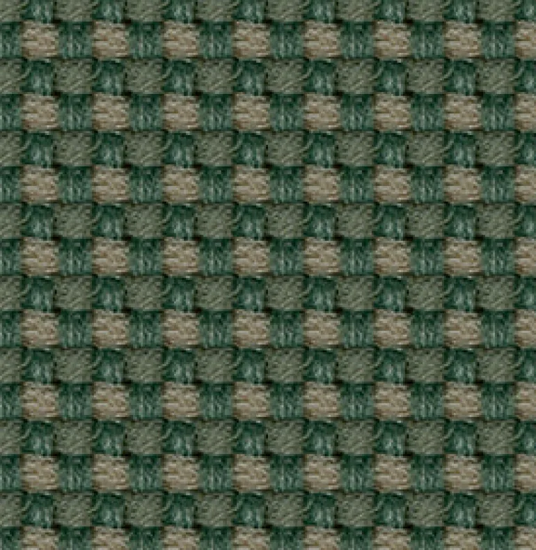 Aerotex 2008 Cactus Fabric