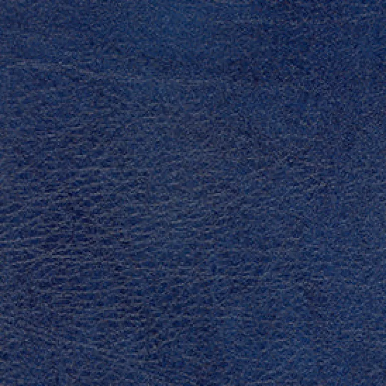 Allegro ALG 7058 Capri Blue Fabric