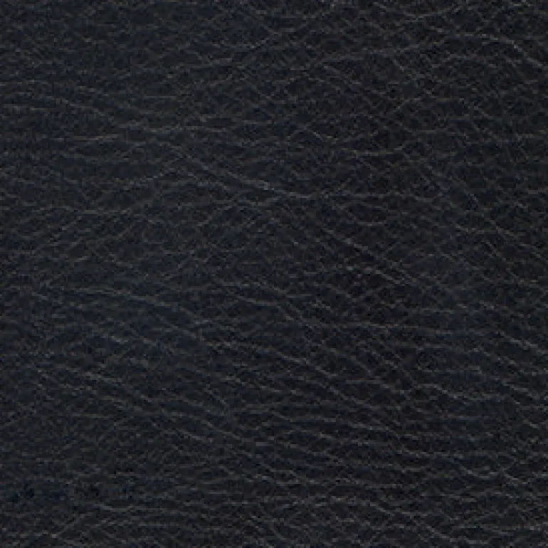 Allegro ALG 7060 Coal Fabric