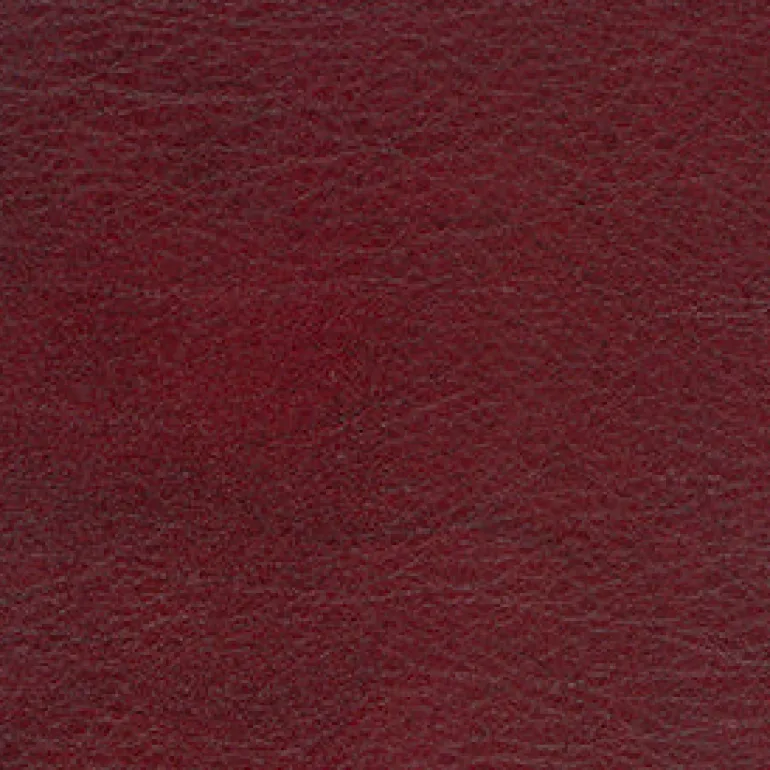 Allegro ALG 7055 Cognac Fabric