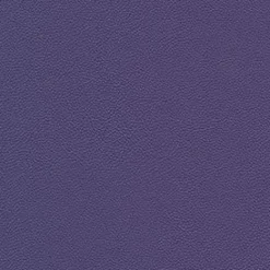 Allsport 3009 Bright Violet Fabric