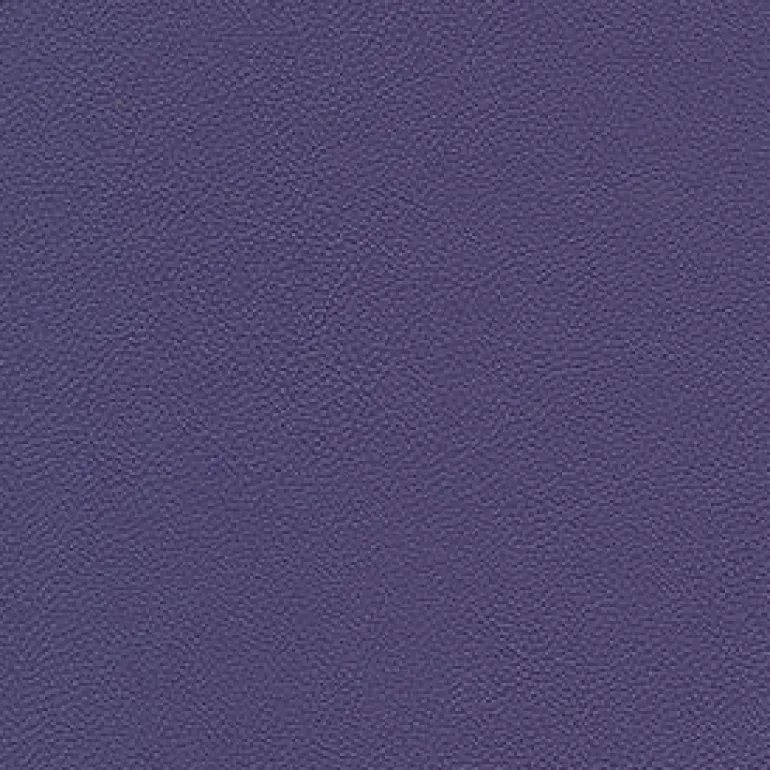 Allsport 3009 Bright Violet Fabric