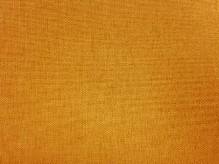 Anopsia Mustard Europatex Fabric