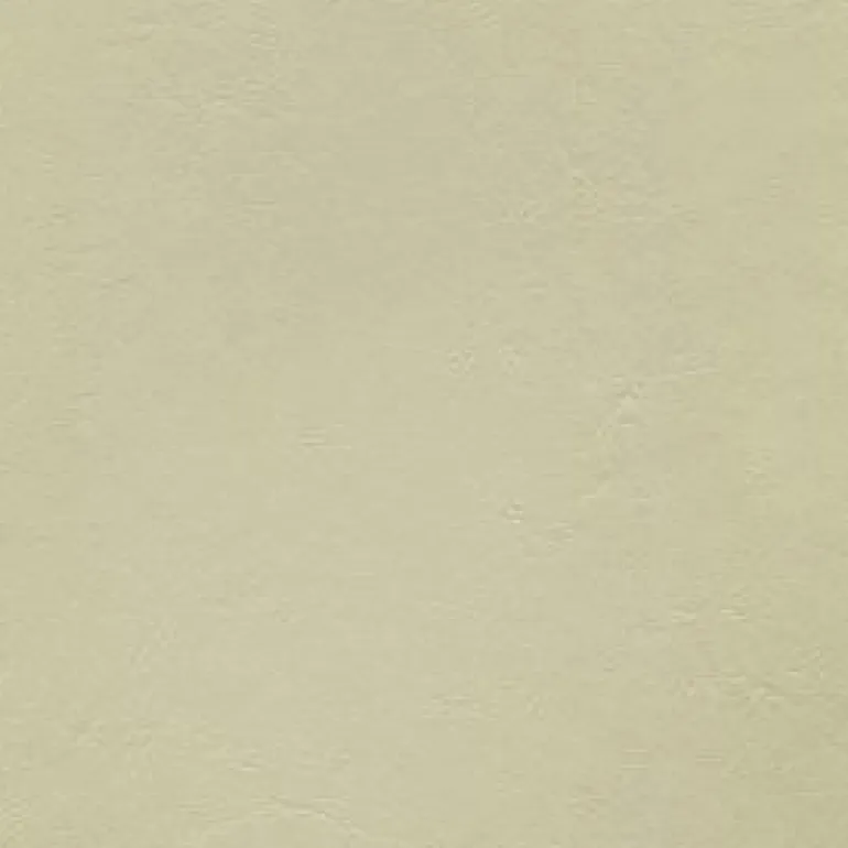 Armada 117 Sand Dollar Fabric
