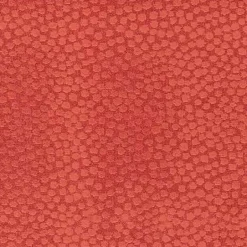 Ashby Watermelon Regal Fabric