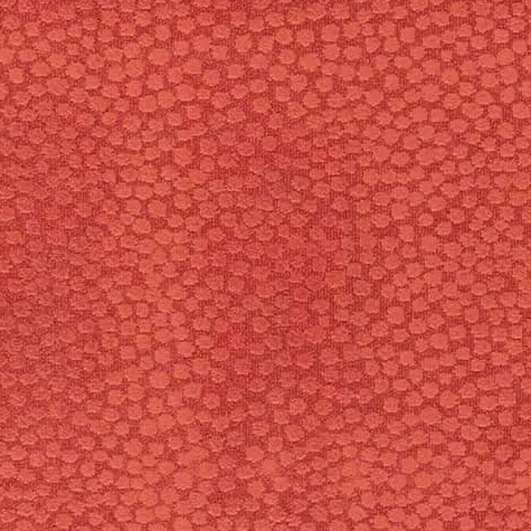 Ashby Watermelon Regal Fabric