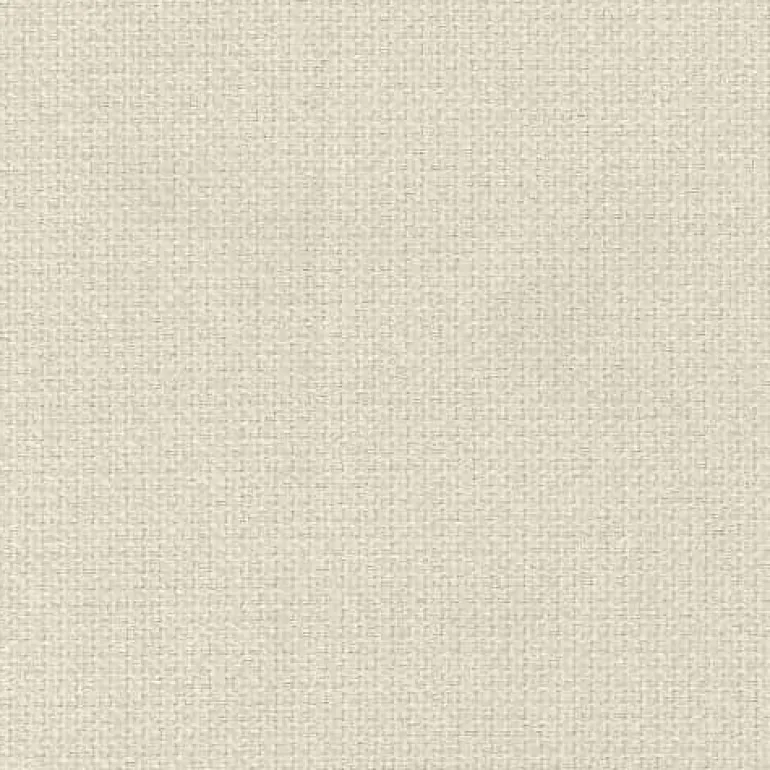 Asset Vanilla Regal Fabric