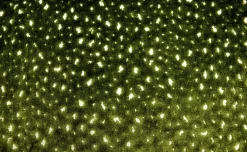 Aubrie Parsley Regal Fabric