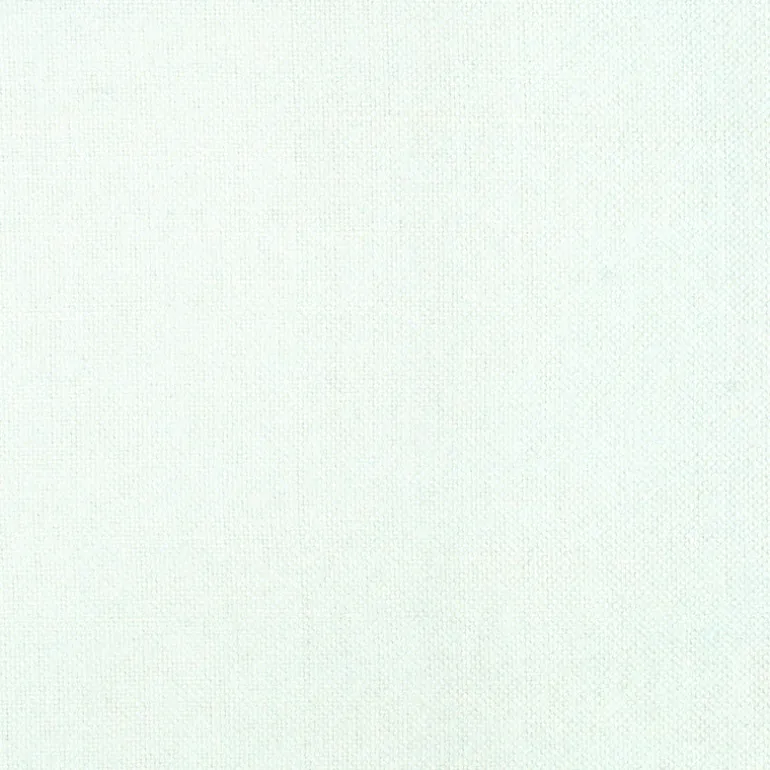 Baker Snow Golding Fabric