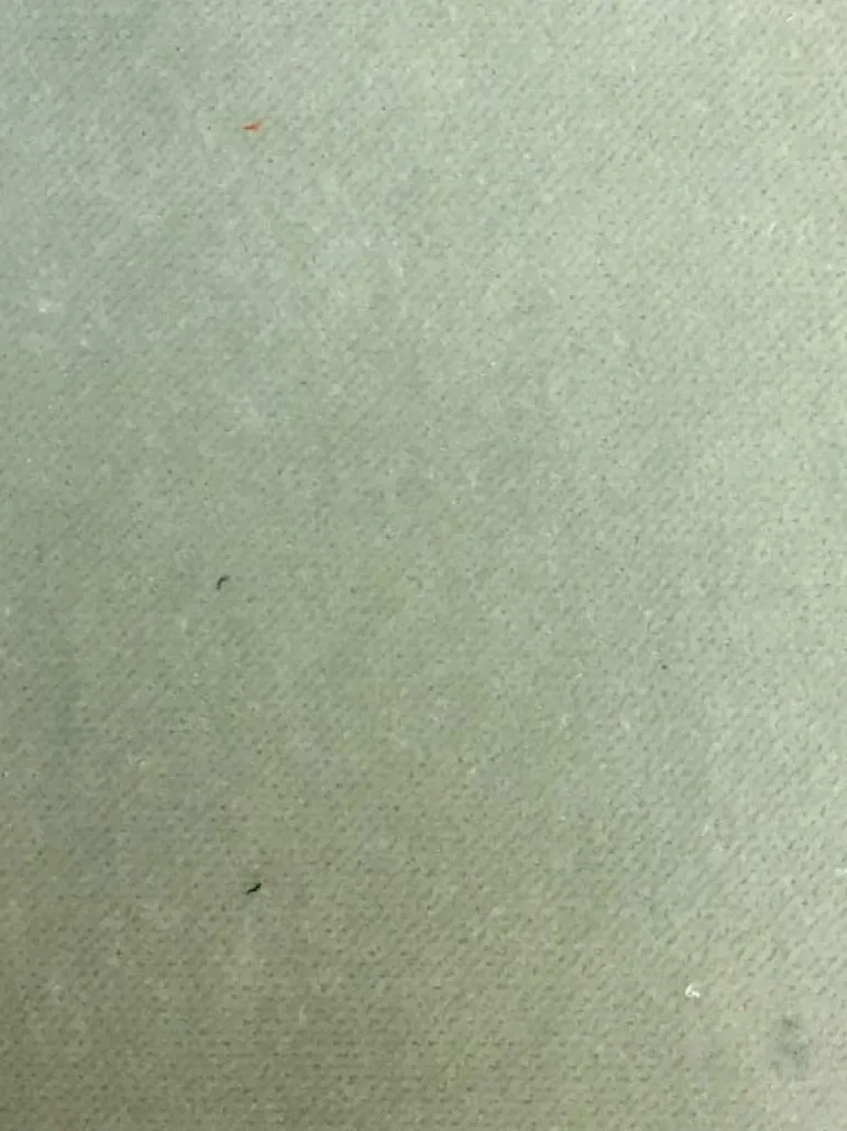 Banks Celadon Valdese Fabric