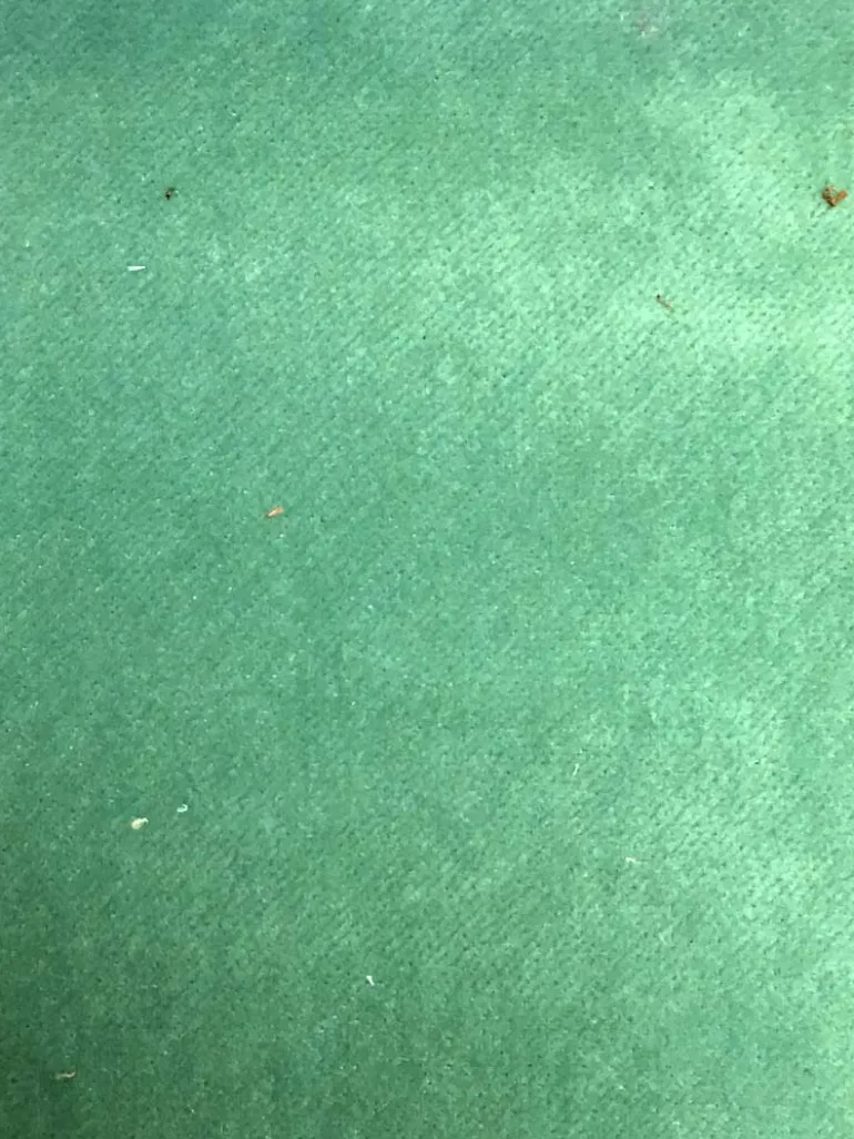 Banks Viridian Valdese Fabric