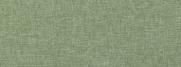 Baras 203 Aloe Covington Fabric