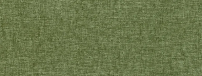 Baras 26 Caper Covington Fabric