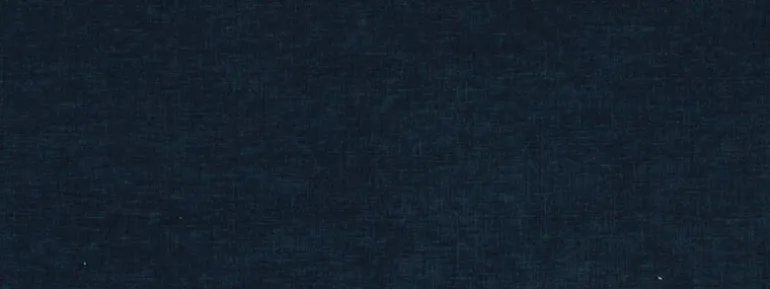 Baras 593 Indigo Covington Fabric