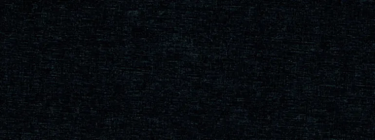 Baras 99 Onyx Covington Fabric