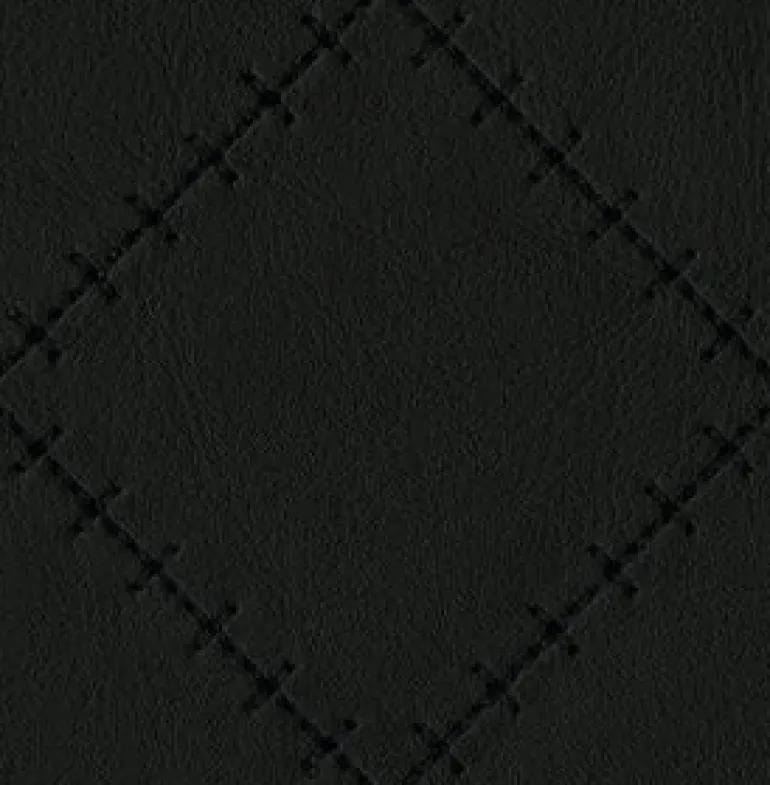 Basilica Black Fabric