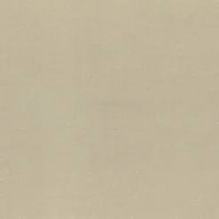 Bayou Sand Regal Fabric