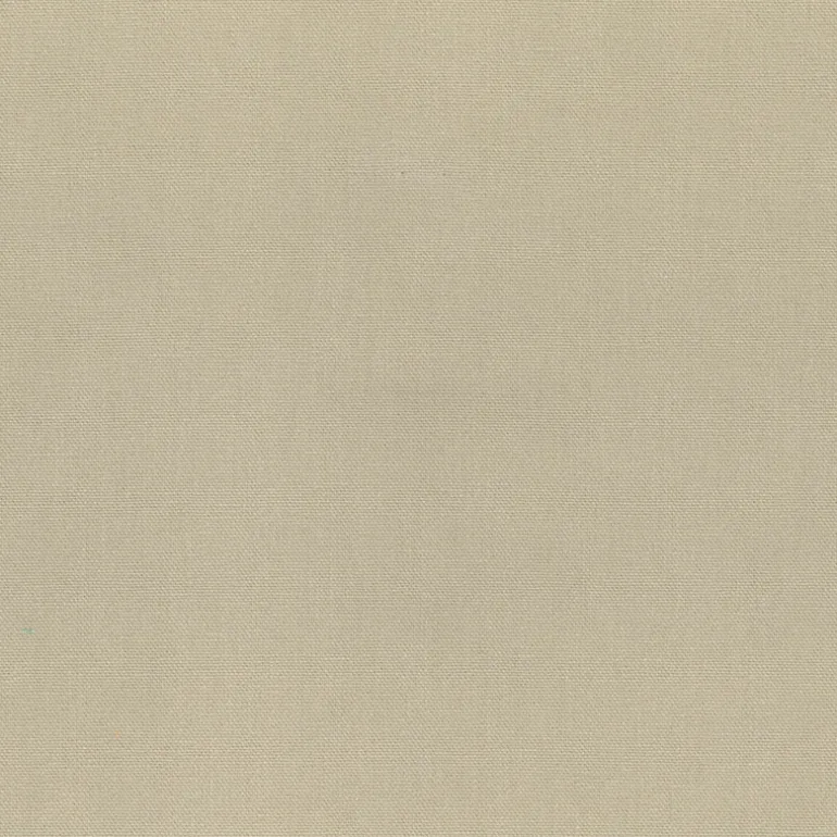 Bayou Sand Regal Fabric