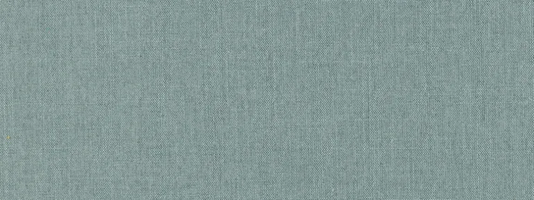 Belfast Backed 98 Wallstreet Covington Fabric