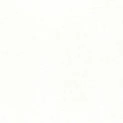 Bonanza White Regal Fabric