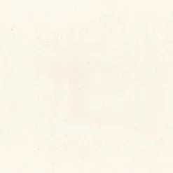 Bronco Natural Regal Fabric