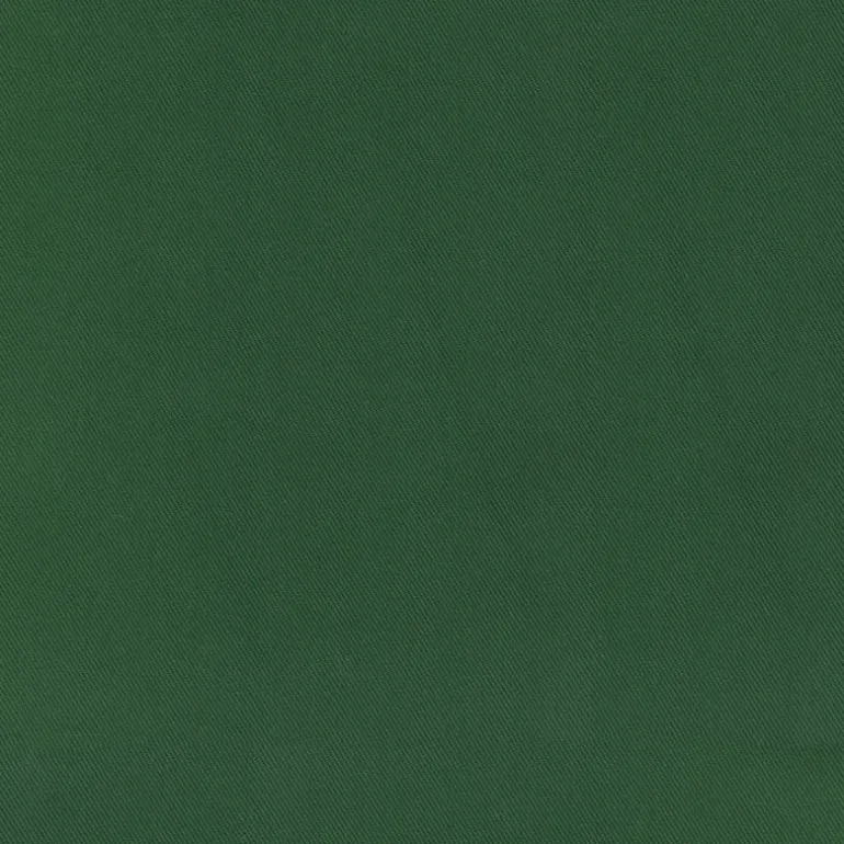 Bronco Spruce Regal Fabric