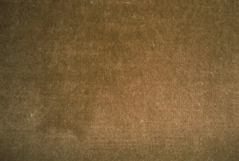 Cannes Golden Taupe JB Martin Fabric