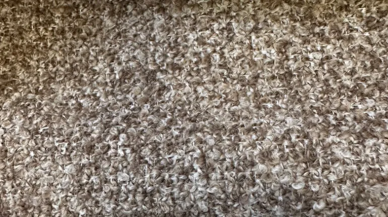 Chasnel Barley Crypton Home Fabric