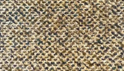 Chasnel Jungle Crypton Home Fabric