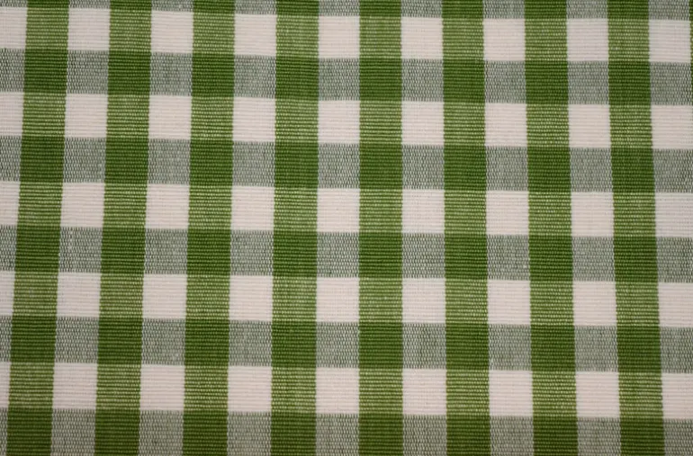 Chester Kiwi Roth & Tompkins Fabric